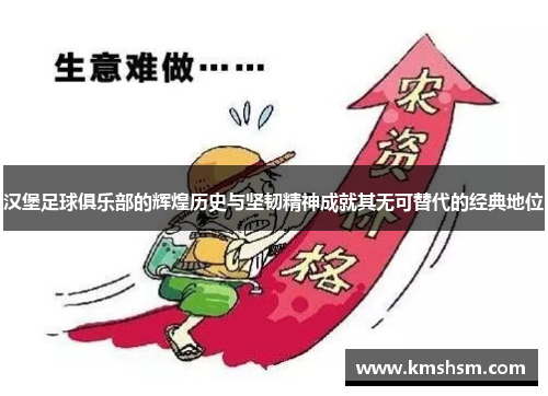 汉堡足球俱乐部的辉煌历史与坚韧精神成就其无可替代的经典地位