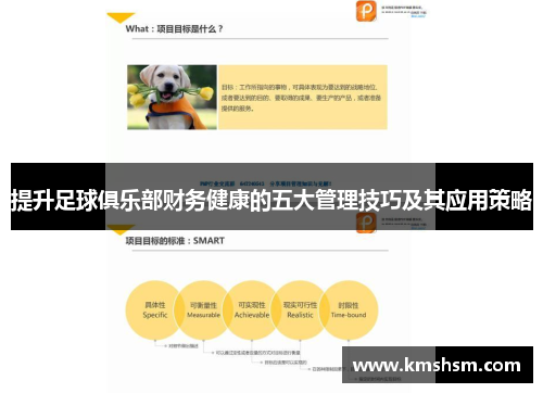 提升足球俱乐部财务健康的五大管理技巧及其应用策略