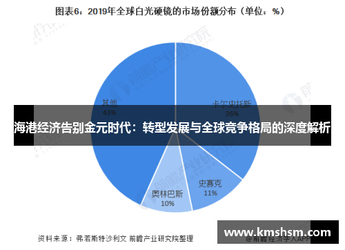 海港经济告别金元时代：转型发展与全球竞争格局的深度解析