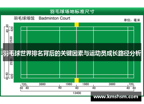 羽毛球世界排名背后的关键因素与运动员成长路径分析