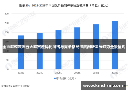 全面解读欧洲五大联赛差异化风格与竞争格局深度剖析发展趋势全景呈现